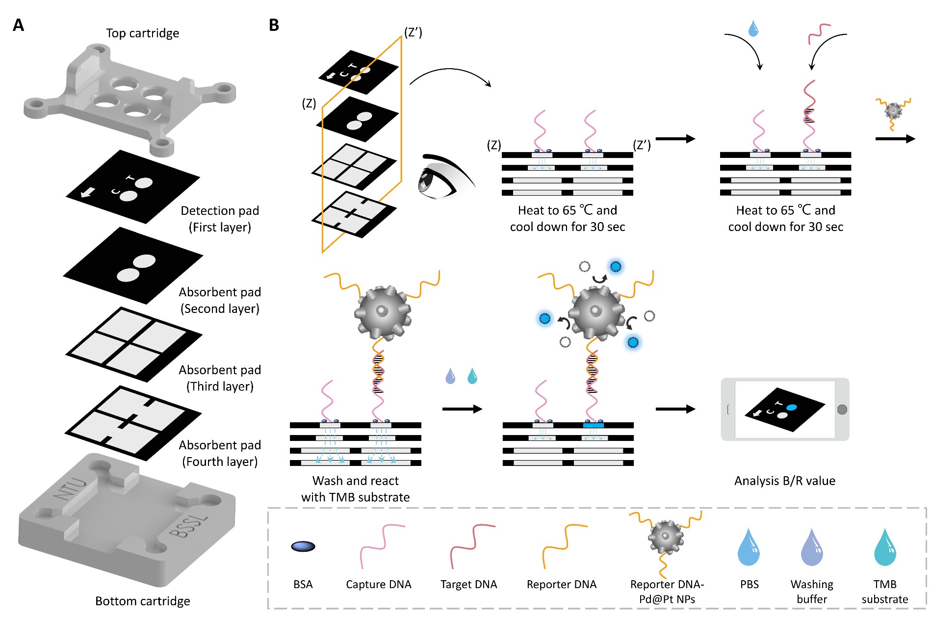 nanoscalep2